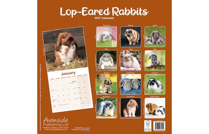 Avonside Kalender 27 Lop Eared Rabbits as
