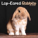 Kalender 27 Lop Eared Rabbits as