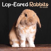 Avonside Kalender 27 Lop Eared Rabbits as