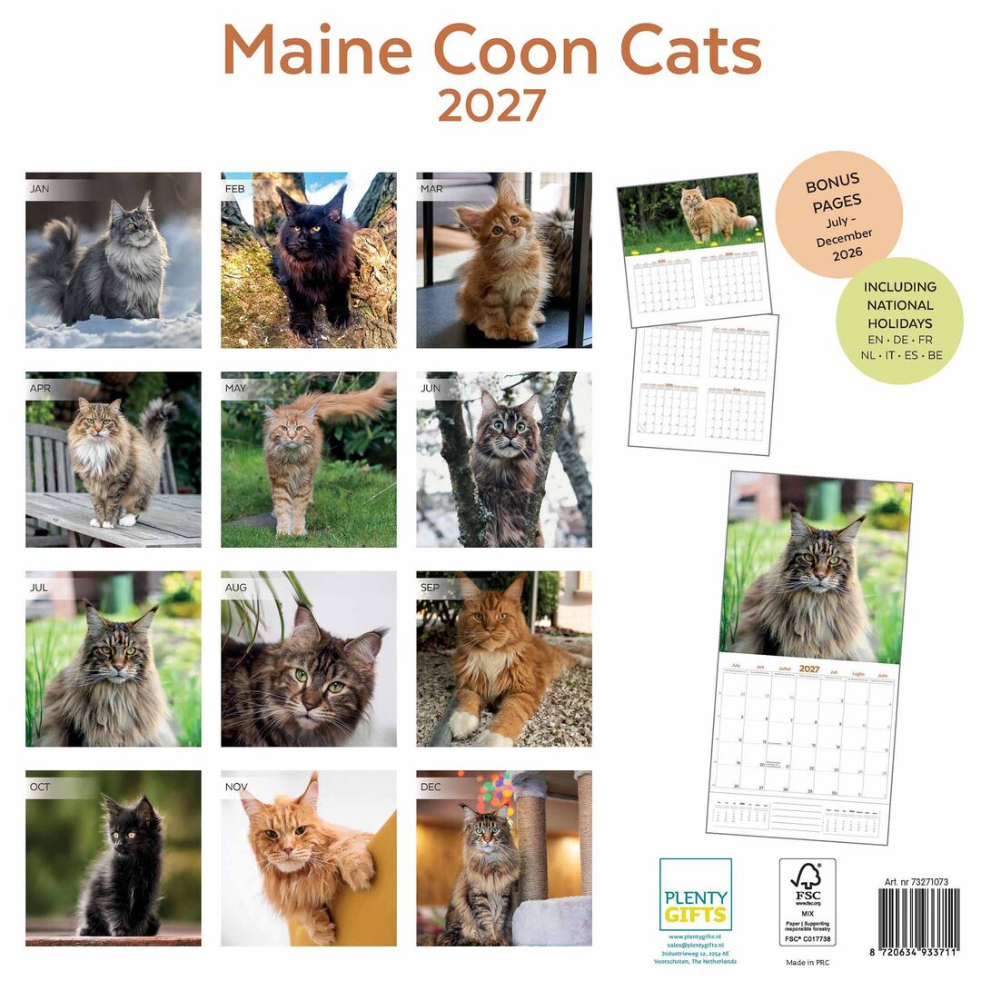 Plenty Gifts Kalender 27 Maine Coon Cats pg