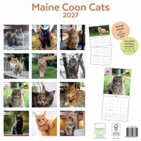 Plenty Gifts Kalender 27 Maine Coon Cats pg