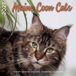 Kalender 27 Maine Coon Cats pg