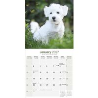 Avonside Kalender 27 Maltese as