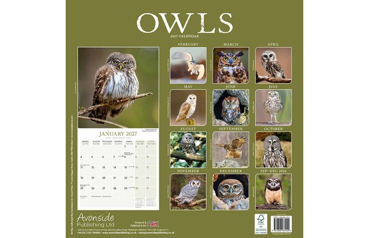Avonside Kalender 27 Owls as