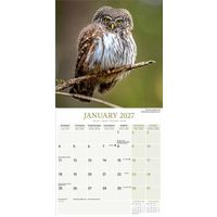 Avonside Kalender 27 Owls as