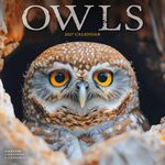 Kalender 27 Owls as