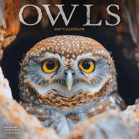 Avonside Kalender 27 Owls as