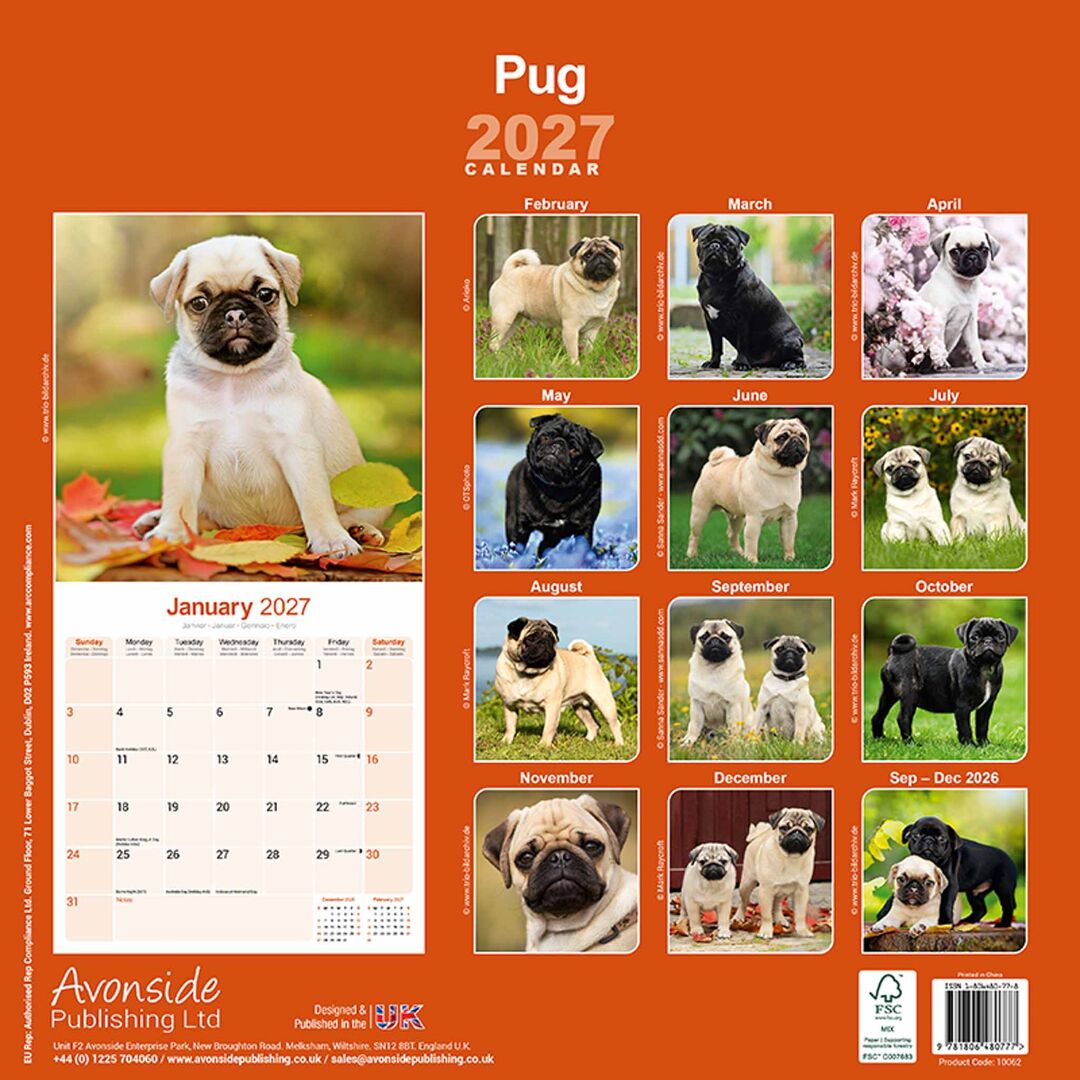 Avonside Kalender 27 Pugs as
