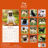 Avonside Kalender 27 Pugs as