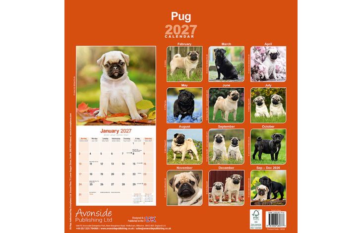 Avonside Kalender 27 Pugs as