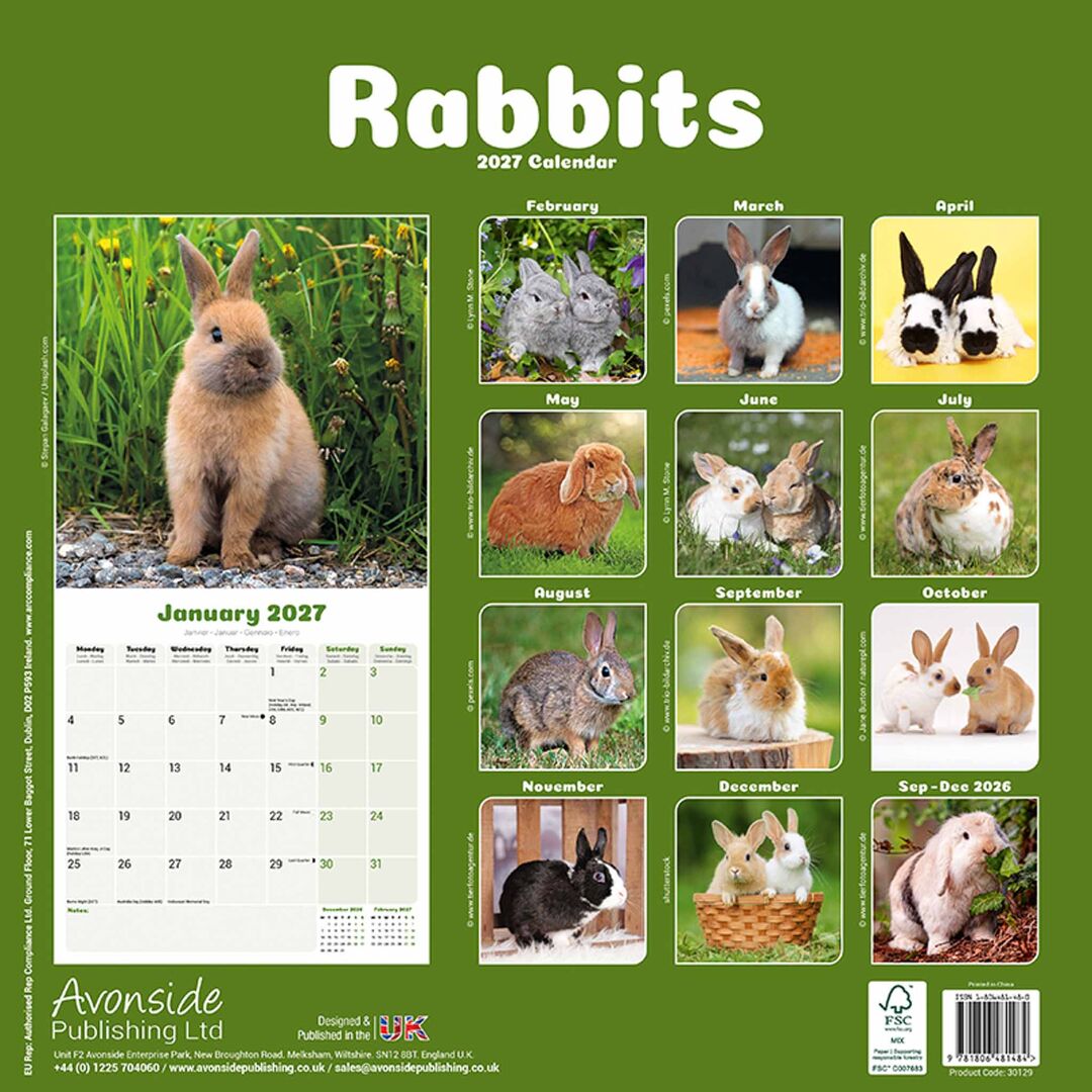 Avonside Kalender 27 Rabbits as