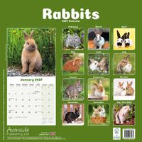 Avonside Kalender 27 Rabbits as