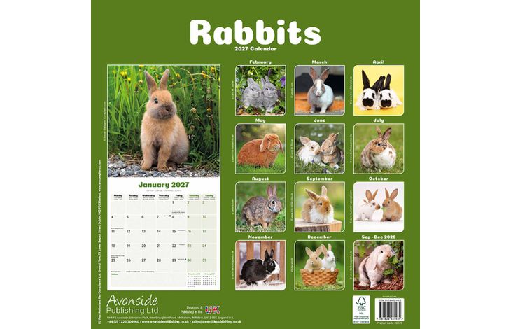 Avonside Kalender 27 Rabbits as