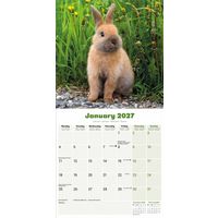 Avonside Kalender 27 Rabbits as