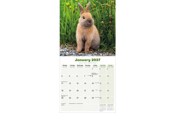 Avonside Kalender 27 Rabbits as