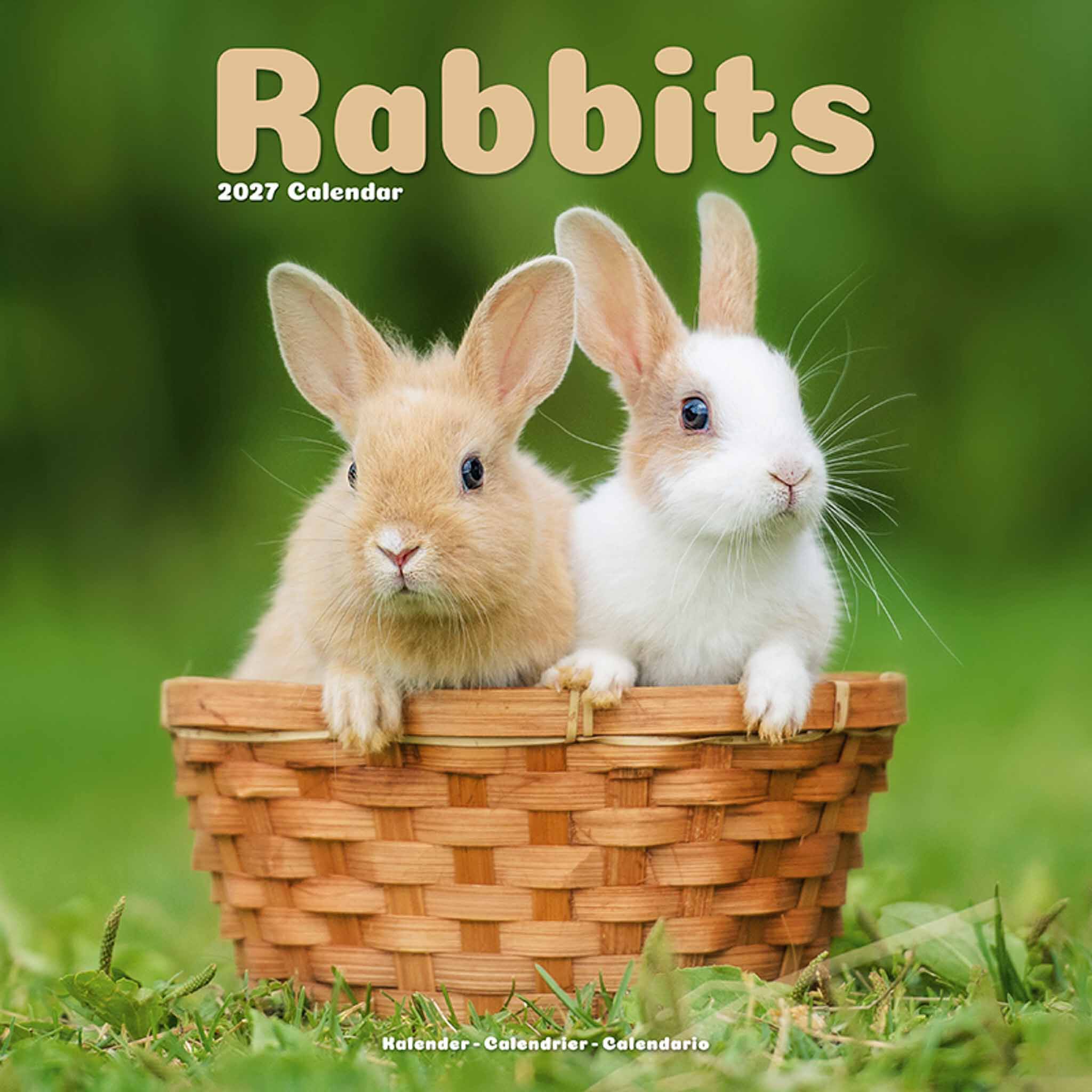 Avonside Kalender 27 Rabbits as
