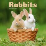 Kalender 27 Rabbits as