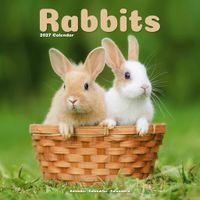 Avonside Kalender 27 Rabbits as
