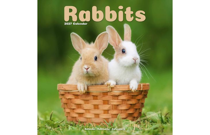Avonside Kalender 27 Rabbits as