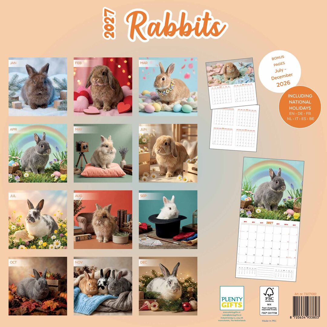 Plenty Gifts Kalender 27 Rabbits Studio pg