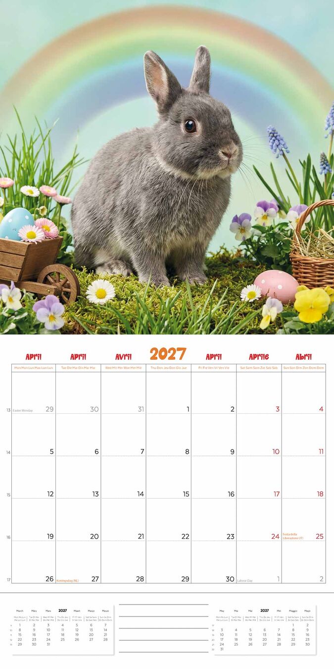 Plenty Gifts Kalender 27 Rabbits Studio pg