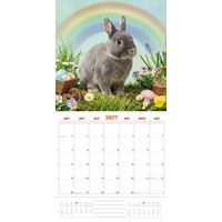 Plenty Gifts Kalender 27 Rabbits Studio pg