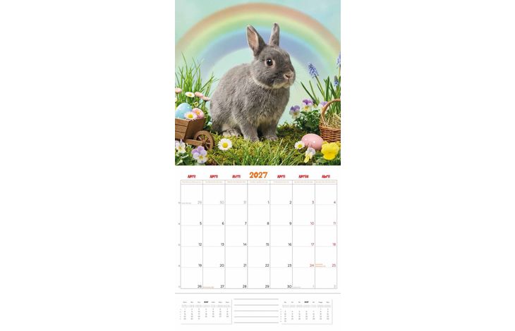 Plenty Gifts Kalender 27 Rabbits Studio pg