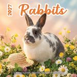Kalender 27 Rabbits Studio pg