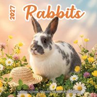 Plenty Gifts Kalender 27 Rabbits Studio pg