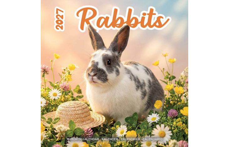 Plenty Gifts Kalender 27 Rabbits Studio pg