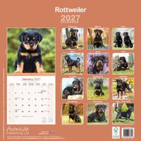 Avonside Kalender 27 Rottweilers as