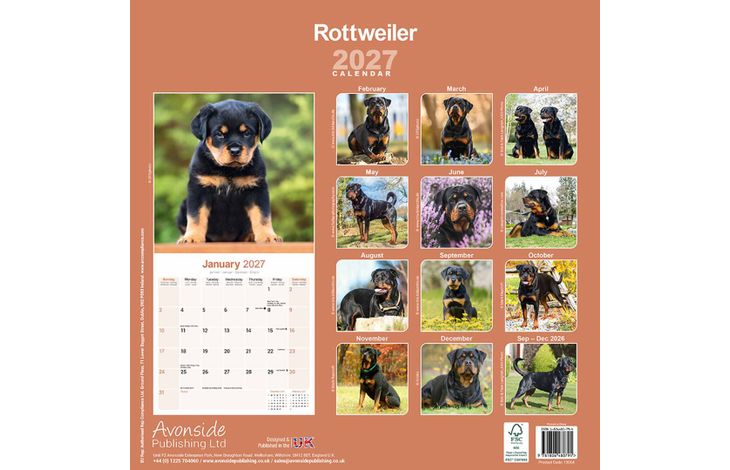 Avonside Kalender 27 Rottweilers as