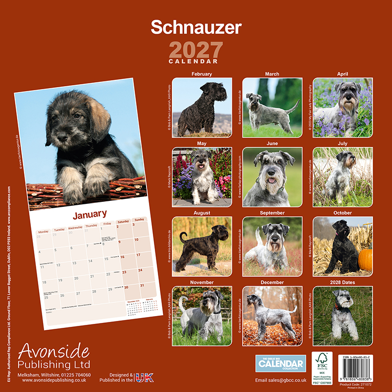 Avonside Kalender 27 Schnauzers Int as