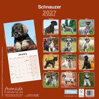 Avonside Kalender 27 Schnauzers Int as