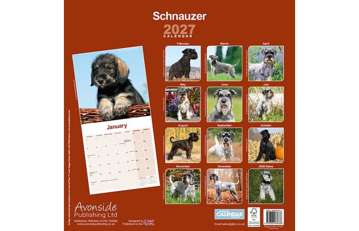 Avonside Kalender 27 Schnauzers Int as