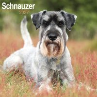Avonside Kalender 27 Schnauzers Int as