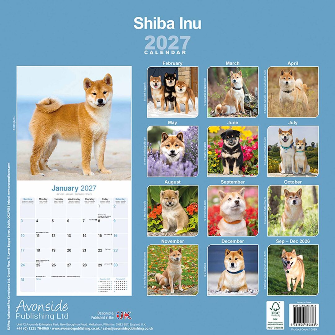 Avonside Kalender 27 Shiba Inu as