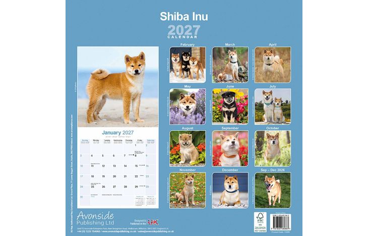 Avonside Kalender 27 Shiba Inu as