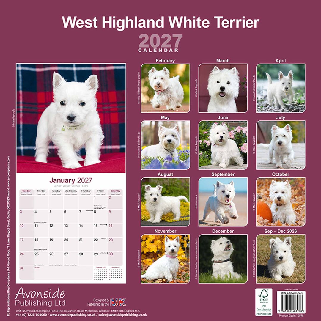 Avonside Kalender 27 West HW Terriers as