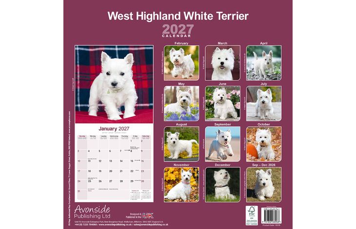 Avonside Kalender 27 West HW Terriers as