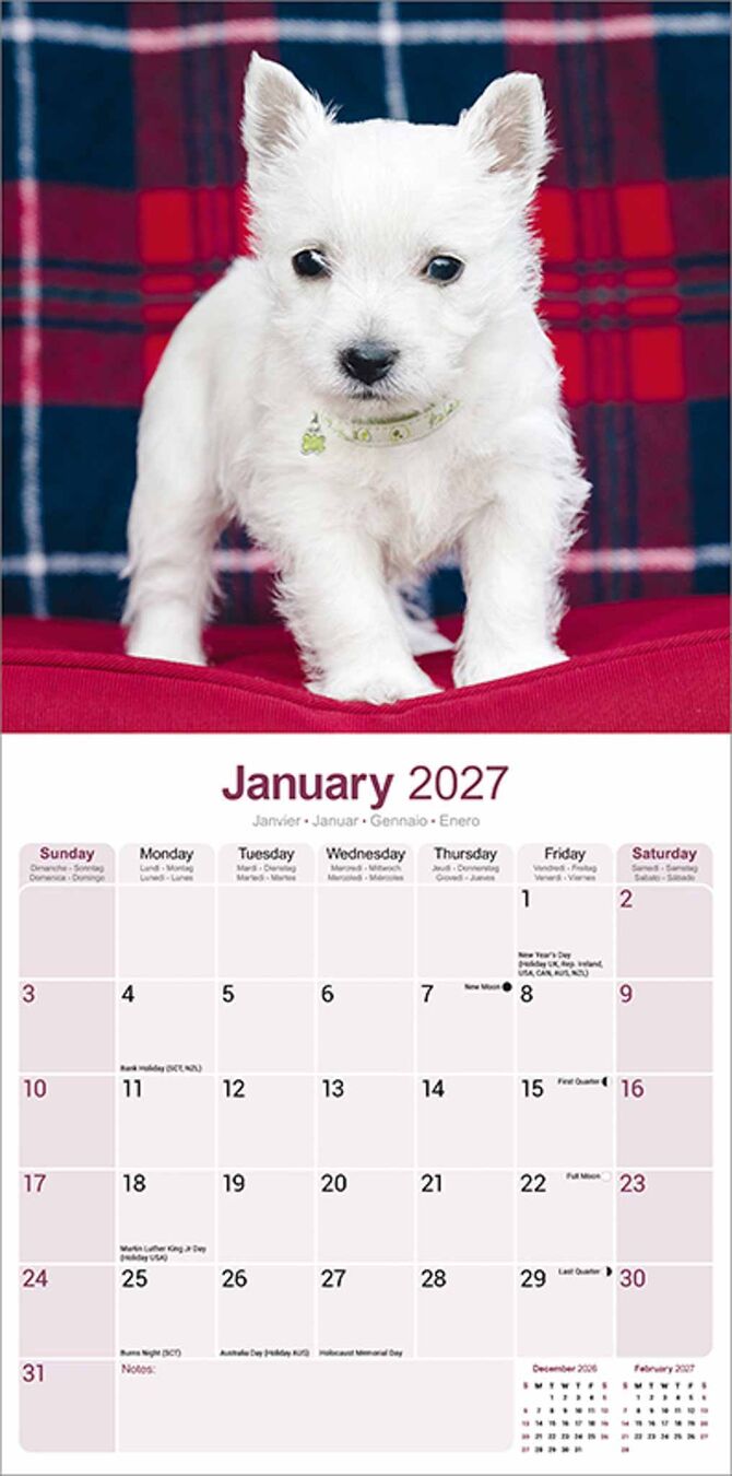 Avonside Kalender 27 West HW Terriers as
