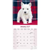 Avonside Kalender 27 West HW Terriers as