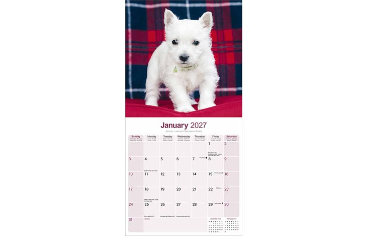 Avonside Kalender 27 West HW Terriers as