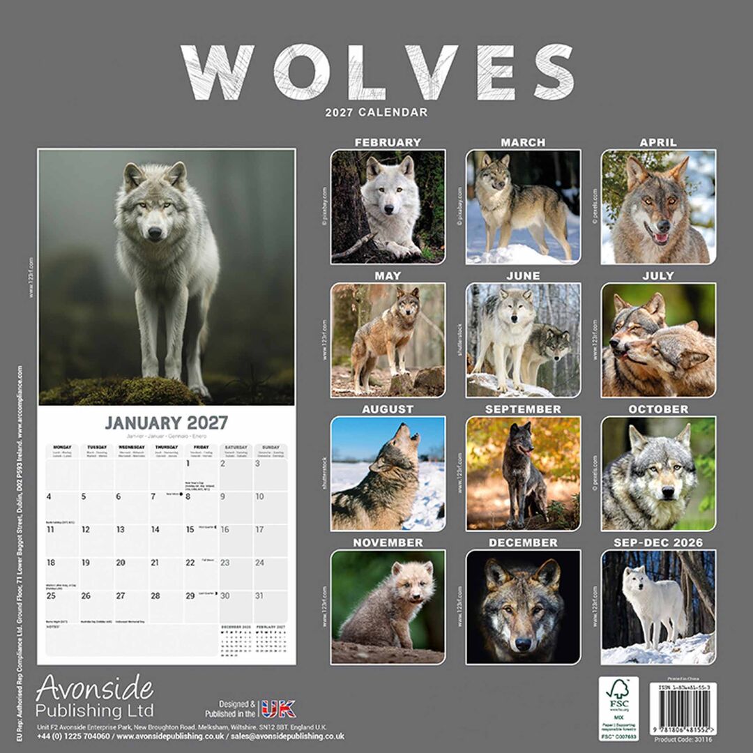 Avonside Kalender 27 Wolves as