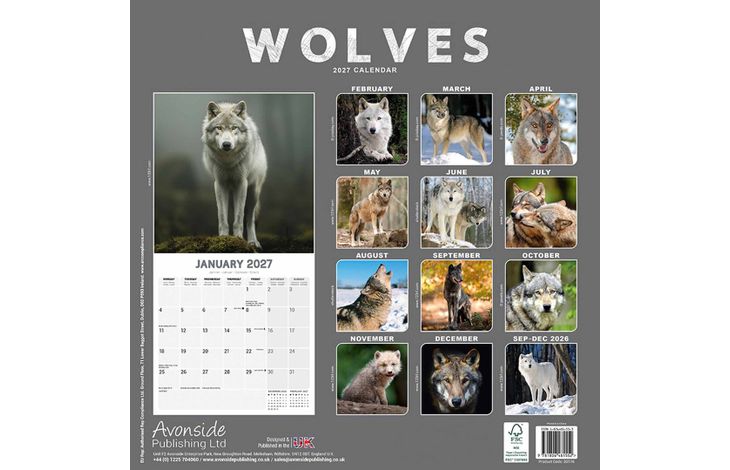Avonside Kalender 27 Wolves as