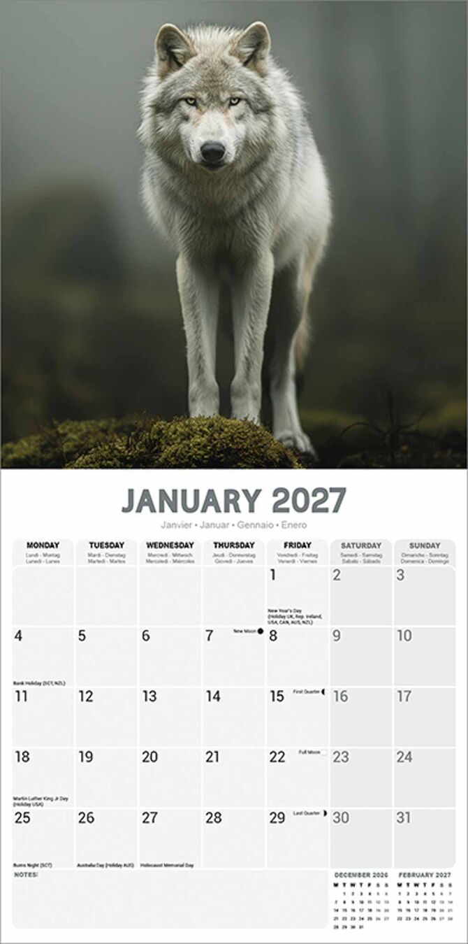 Avonside Kalender 27 Wolves as