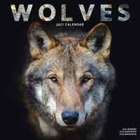 Avonside Kalender 27 Wolves as