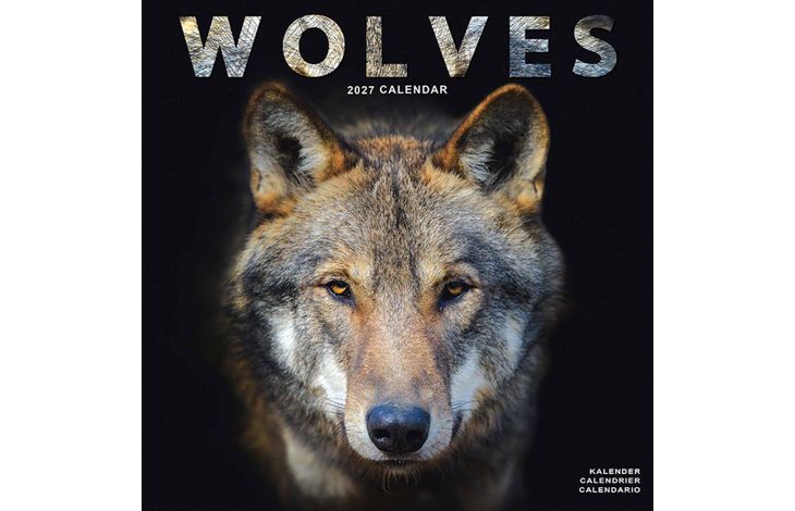 Avonside Kalender 27 Wolves as