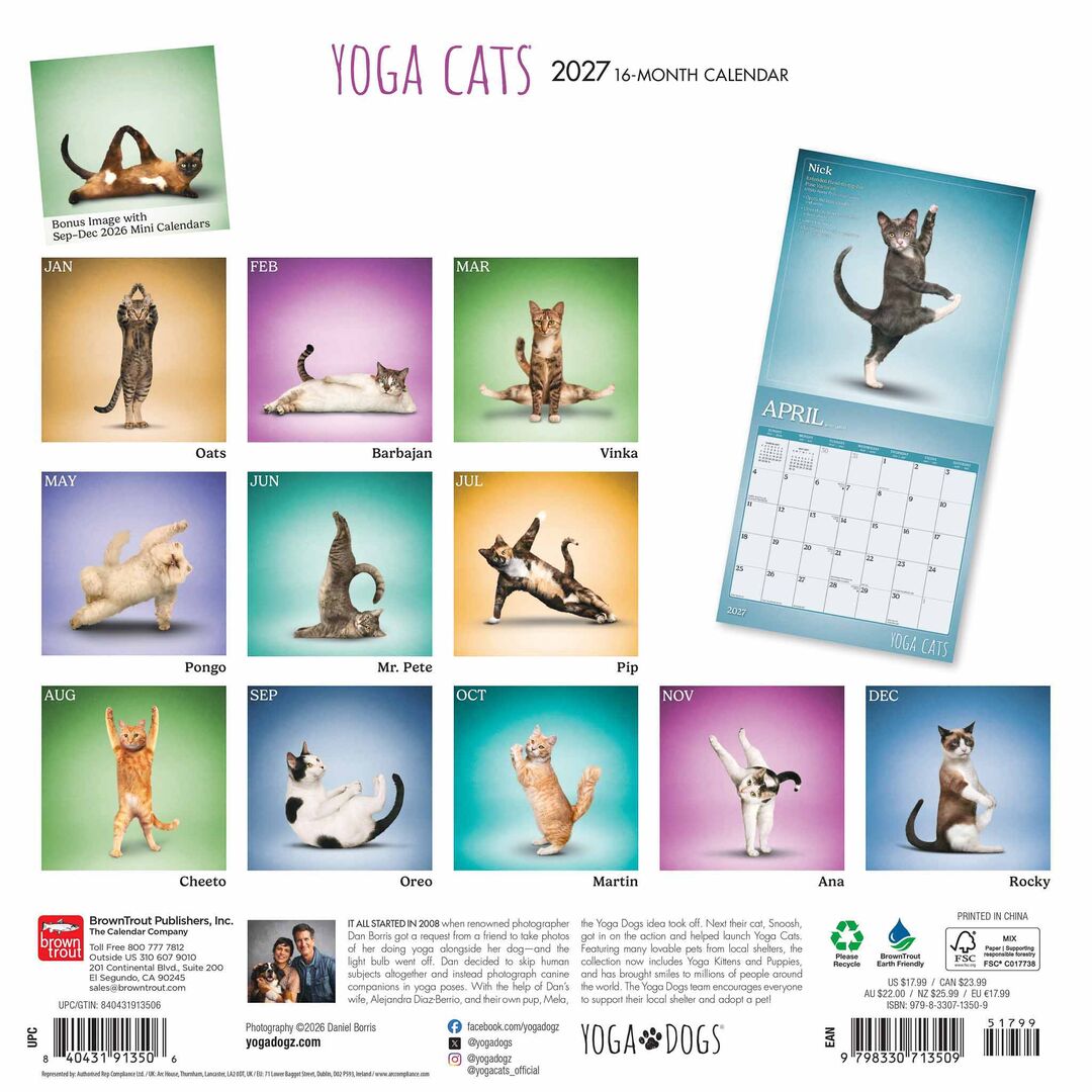 Plenty Gifts Kalender 27 Yoga Cats bt