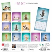 Plenty Gifts Kalender 27 Yoga Cats bt